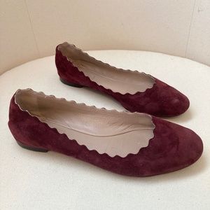Chloé Lauren Ballet Flat in Burgundy/Maroon Suede